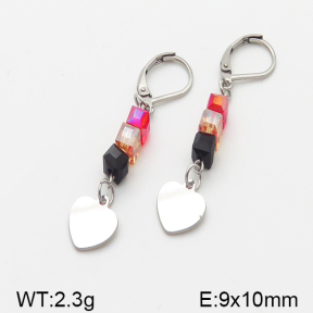 Stainless Steel Earrings  5E4000877vbnb-350