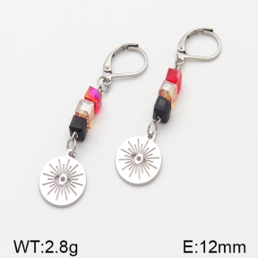 Stainless Steel Earrings  5E4000879vbnb-350