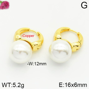 Fashion Copper Earrings  Shell Pearl  F2E300149bhva-J116