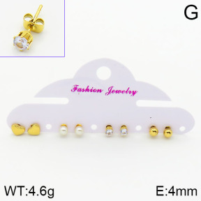 Stainless Steel Earrings  2E3000535ablb-463