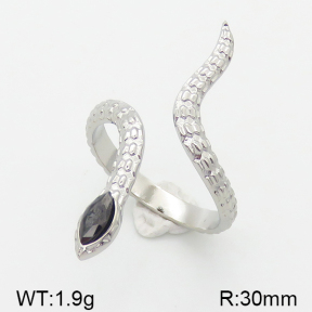 Stainless Steel Ring  5R4001282vbnb-493