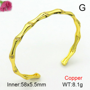 Fashion Copper Bangle  F7BA40145ahjb-L017