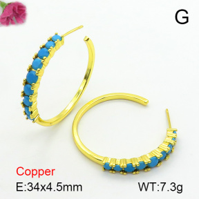 Fashion Copper Earrings  F7E400624bhva-L017