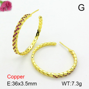 Fashion Copper Earrings  F7E400628bhva-L017