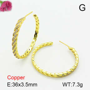 Fashion Copper Earrings  F7E400630bhva-L017