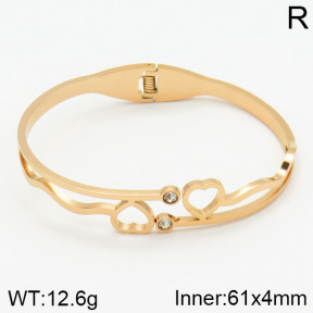 Stainless Steel Bangle  2BA400346bbov-685