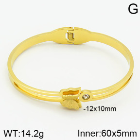 Stainless Steel Bangle  2BA400348bbov-685