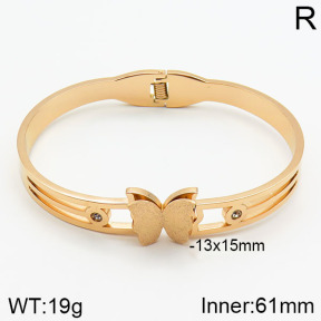 Stainless Steel Bangle  2BA400351bbov-685