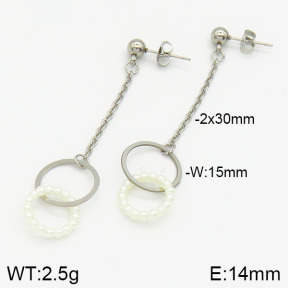 Stainless Steel Earrings  2E3000562ablb-610