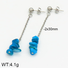 Stainless Steel Earrings  2E4000895ablb-610