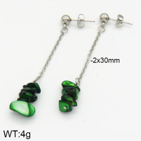 Stainless Steel Earrings  2E4000896ablb-610