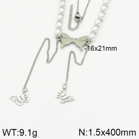 Stainless Steel Necklace  2N3000440bhva-610