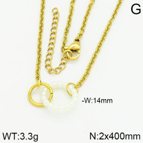 Stainless Steel Necklace  2N3000450bbov-610