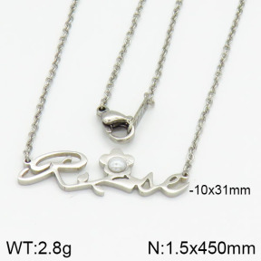 Stainless Steel Necklace  2N3000453vaia-369