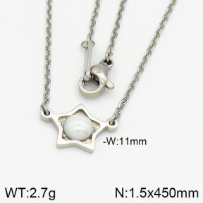 Stainless Steel Necklace  2N3000455vaia-369