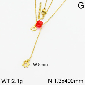 Stainless Steel Necklace  2N4000440bhva-610