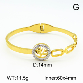 Stainless Steel Bangle  7BA400002bbov-685