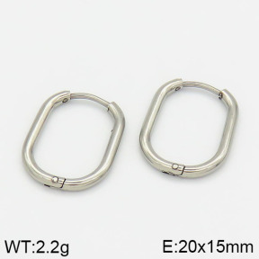 Stainless Steel Earrings  2E2000696vail-681