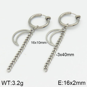 Stainless Steel Earrings  2E2000701baka-681