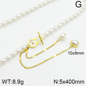 Stainless Steel Necklace  2N3000457vhmv-607