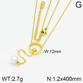Stainless Steel Necklace  2N3000458bvpl-607