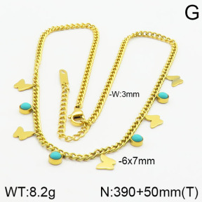 Stainless Steel Necklace  2N4000459bhia-607