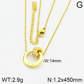 Stainless Steel Necklace  2N4000469vbpb-607