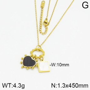Stainless Steel Necklace  2N4000481bvpl-607