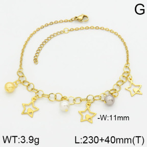 Stainless Steel Anklets  2A9000418vbmb-610