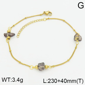 Stainless Steel Anklets  2A9000432ablb-610