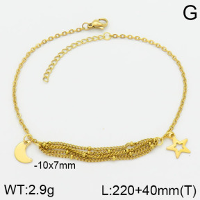 Stainless Steel Anklets  2A9000442ablb-610