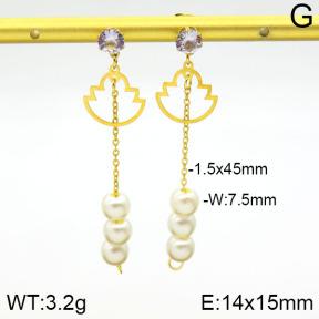 Stainless Steel Earrings  2E3000580aajl-731