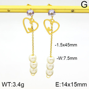 Stainless Steel Earrings  2E3000583aajl-731