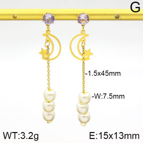 Stainless Steel Earrings  2E3000588aajl-731