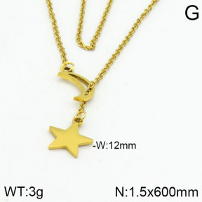 Stainless Steel Necklace  2N2000867aaji-731