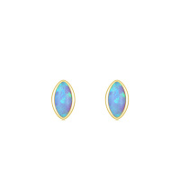 925 Silver Earrings  Weight:0.72g  Size:4.4*7.5mm  JE1145vihl-Y08  RHE1061