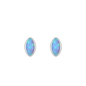 925 Silver Earrings  Weight:0.72g  Size:4.4*7.5mm  JE1146vivn-Y08  RHE1061-