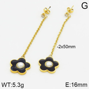 Stainless Steel Earrings  2E3000564vbnb-669