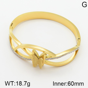 Stainless Steel Bangle  5BA400533vhmv-363