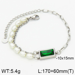 Stainless Steel Bracelet  2B3000603vhha-201