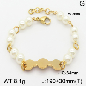 Stainless Steel Bracelet  5B3000518vbpb-685