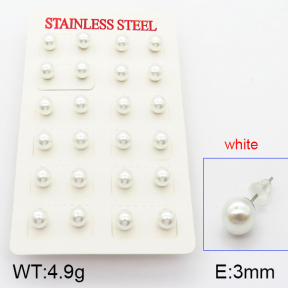Stainless Steel Earrings  5E3000331vbmb-718