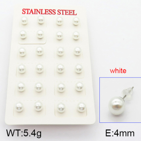 Stainless Steel Earrings  5E3000332vbmb-718