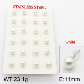Stainless Steel Earrings  5E3000339vbpb-718