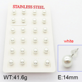 Stainless Steel Earrings  5E3000341bhva-718