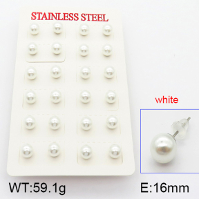 Stainless Steel Earrings  5E3000342bhia-718