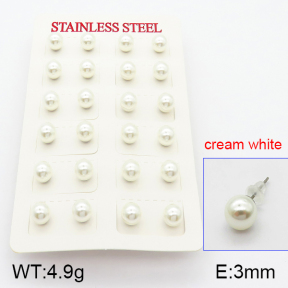 Stainless Steel Earrings  5E3000344vbmb-718
