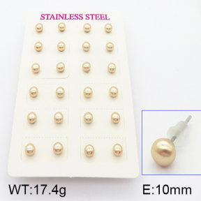 Stainless Steel Earrings  5E3000359vbpb-718
