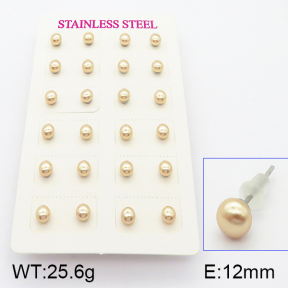 Stainless Steel Earrings  5E3000360bhva-718