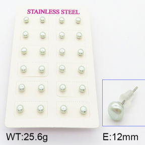 Stainless Steel Earrings  5E3000364bhva-718